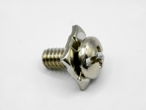 Pan Head Slot Phillips with Square Washer